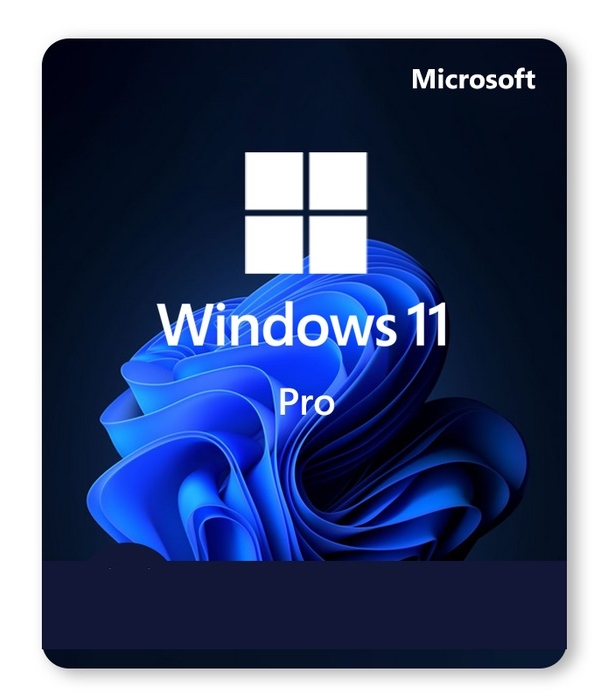 Microsoft Windows 11 Pro